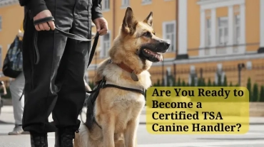 Are-You-Ready-to-Become-a-Certified-TSA-Canine-Handler