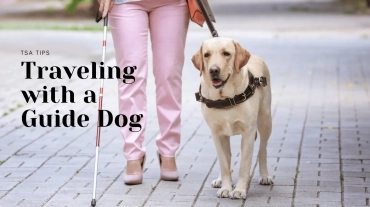 Traveling-with-a-Guide-Dog