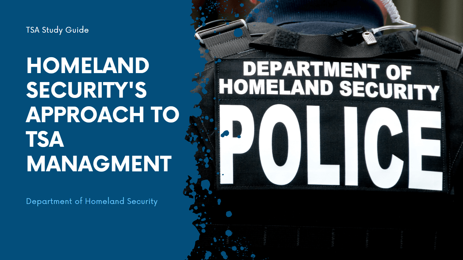 Homeland Security's Approach to Tsa Managment